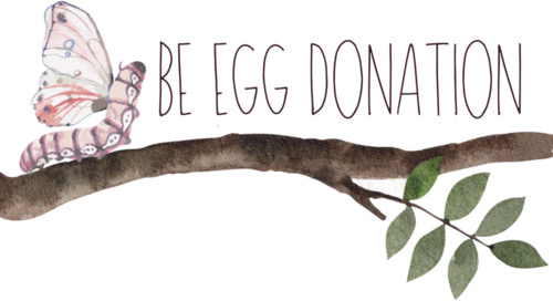 Be Egg Donation — Egg Donation Agencies, Families Out Loud sponsor