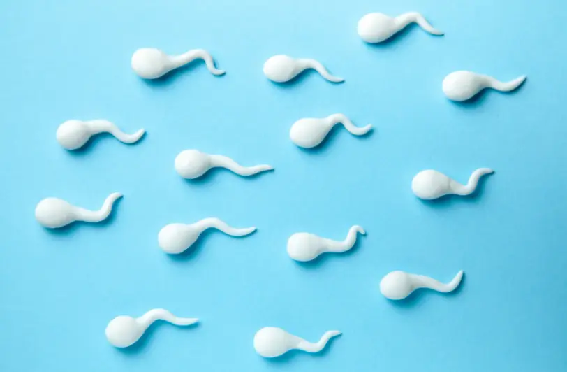 Sperm Donation, Honestly: The Choices That Matter and the Ones That Last